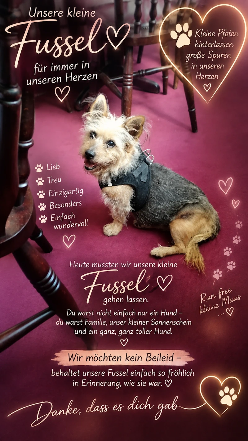 Danke Fussel